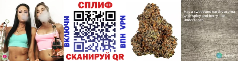 Какие есть наркотики Циолковский Гашиш Мефедрон