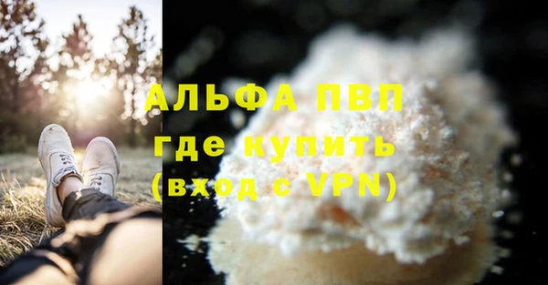 хмурый Абаза