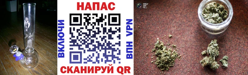 Бошки марихуана Bruce Banner  Циолковский 
